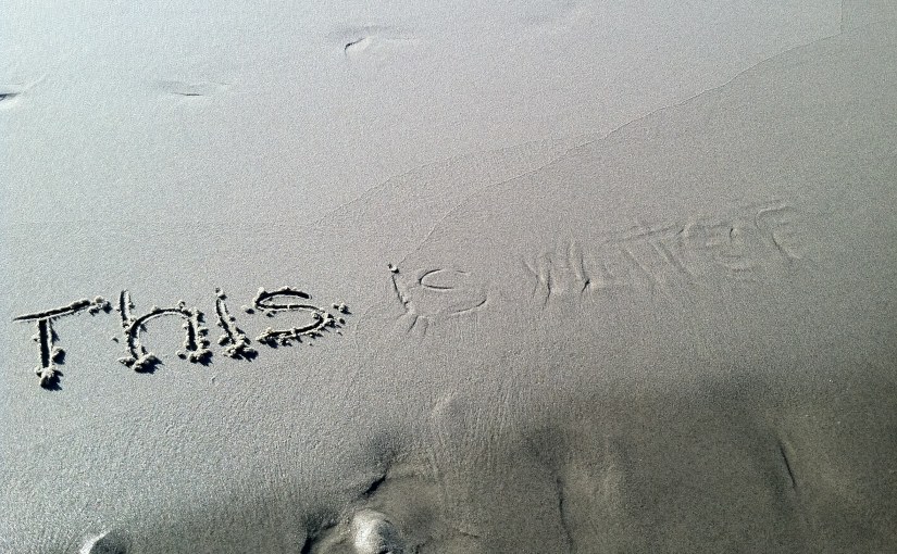 Nauset Beach, Cape Cod, MA.&nbsp;2011.